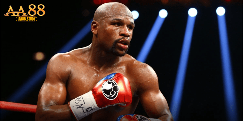 Các loại kèo boxing tại AA88