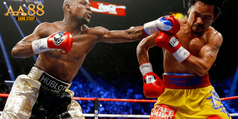 Kinh nghiệm soi kèo boxing tại AA88